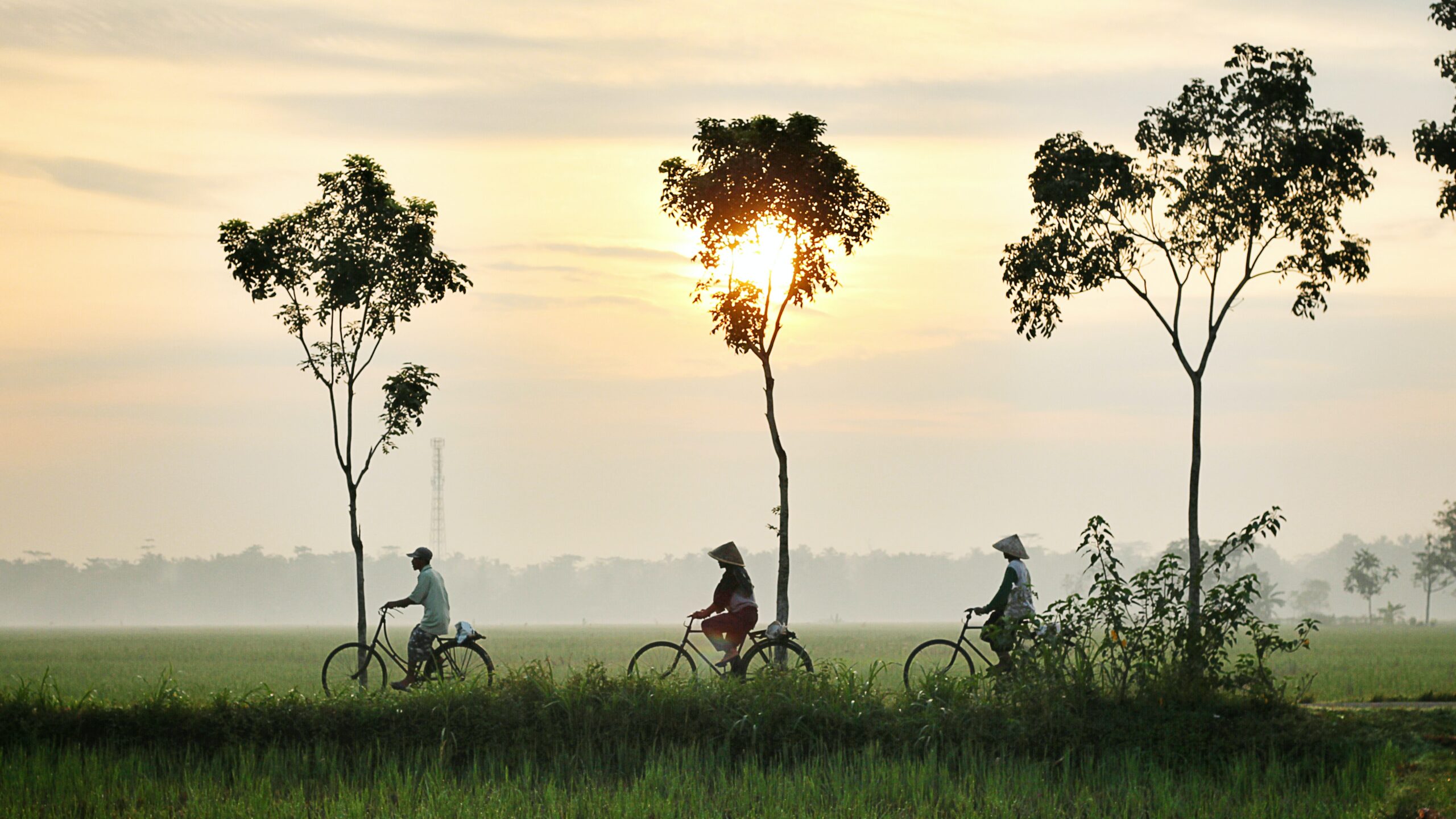 Bike Riding in Indonesia