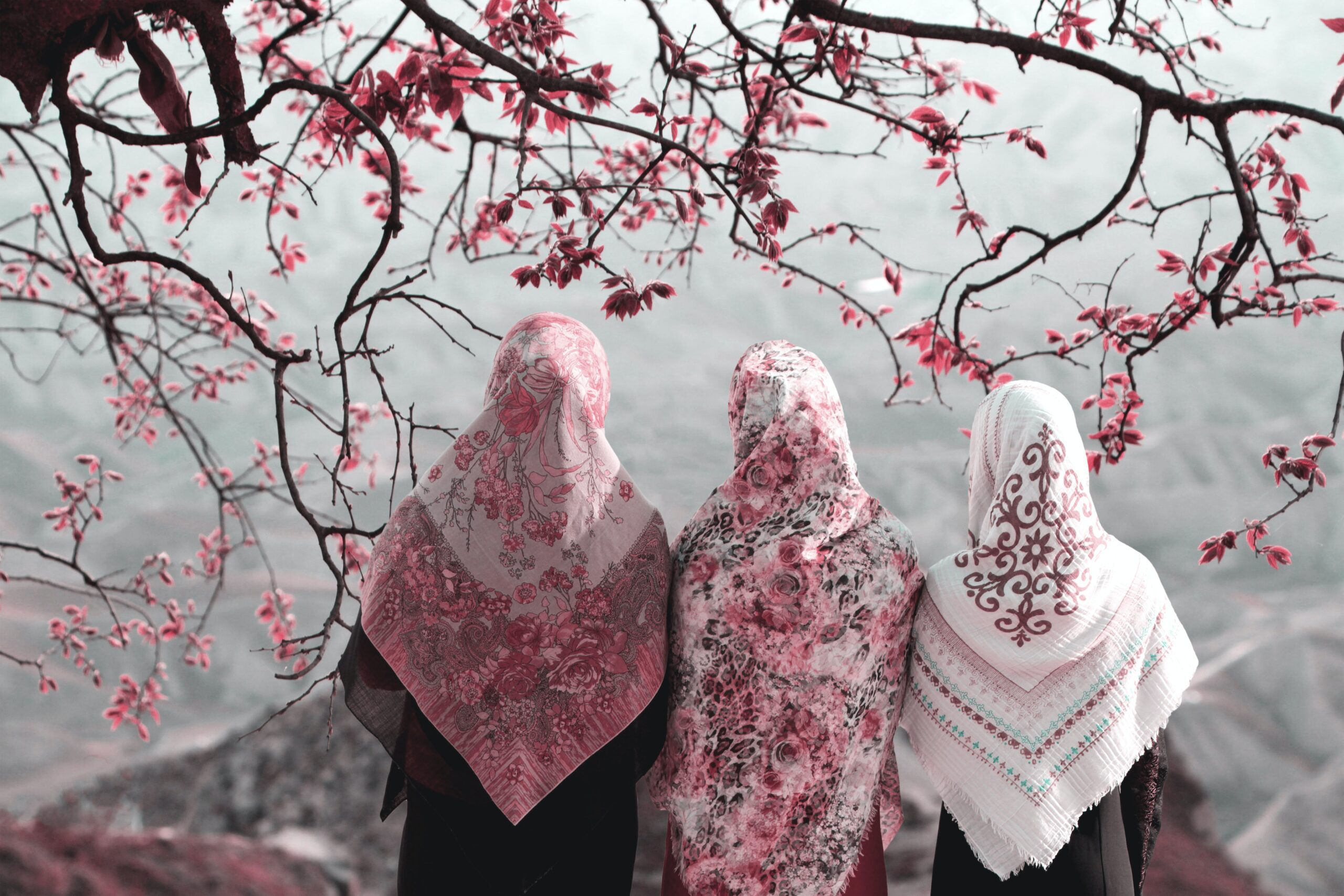 Muslim women by Cherry Blossom