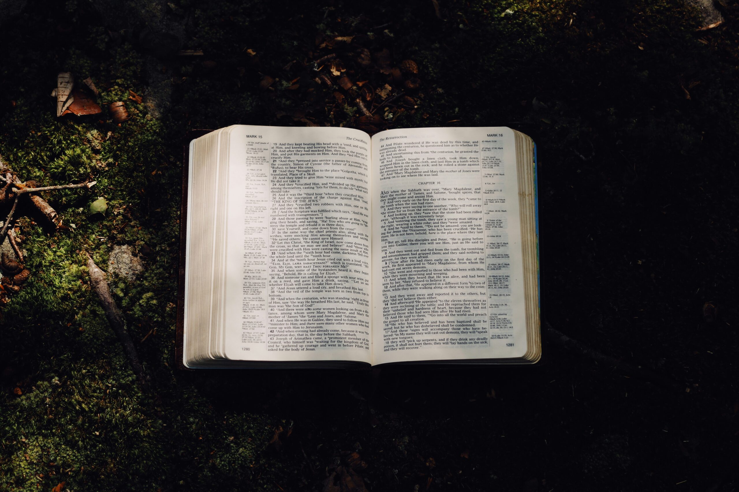 Discovering the Promise of God's Presence in Scripture